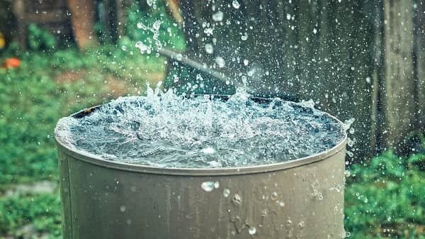 Collect Rainwater