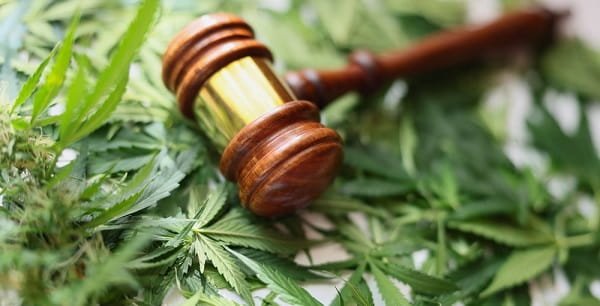 Weed Legal in Georgia