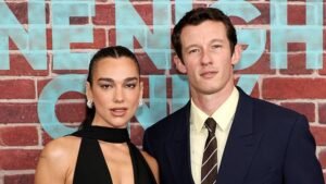 Dua Lipa and Callum Turner: Are They Divorcing?