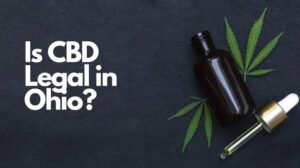 Is CBD Legal in Ohio? CBD Laws, THC Limits and Rules